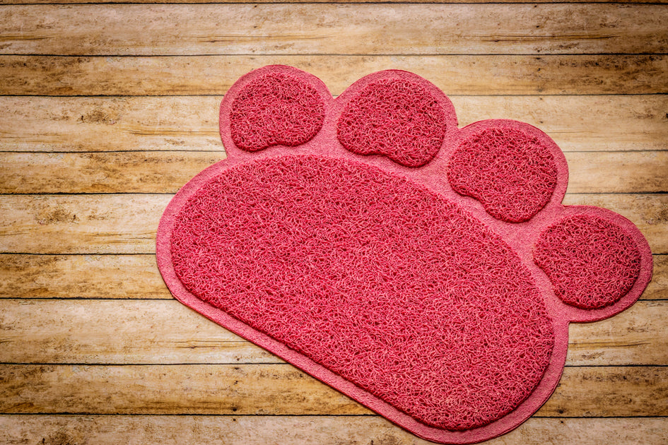 How to Clean Cat Litter Mat Quick Guide Ole Blue LLC