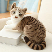 Cat Plush Toys