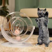 Cat Turntable Educational Toys